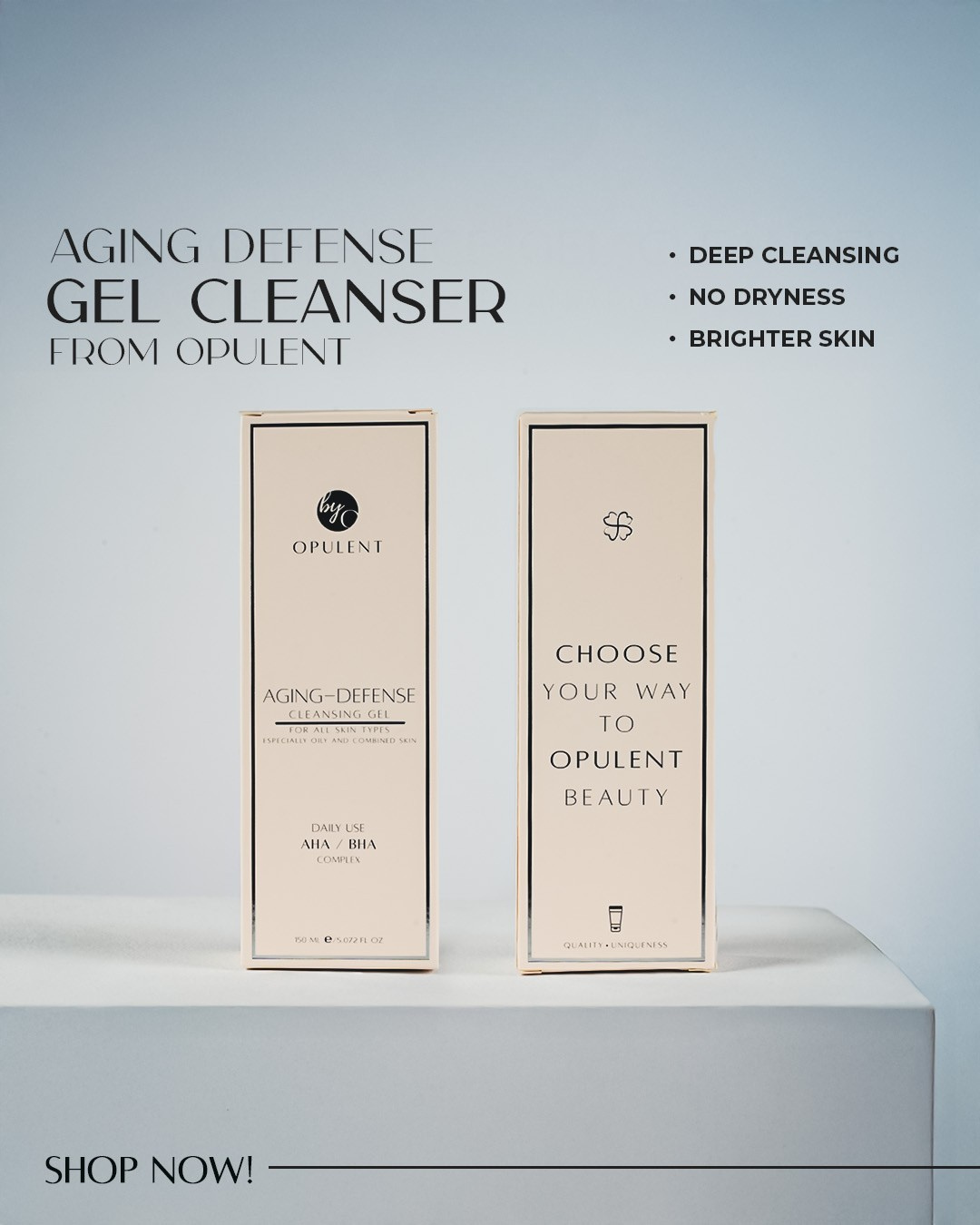 GEL CLEANSER